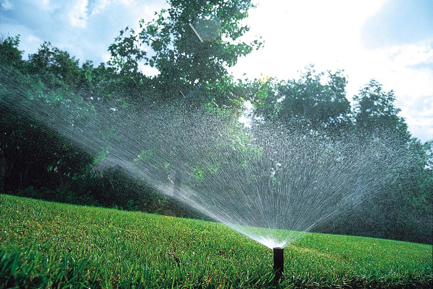 Irrigação de Jardins